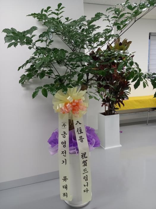 ��۵ƽ��ϴ� 